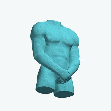 Мужской торс с руками — 3D-модель